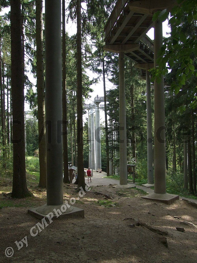 2018 - September - Waldgipfelpfad-Sankt-Elkmar